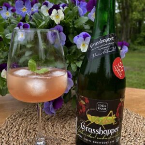 Carbonated rhubarb wine with raspberry 750ml 9%vol