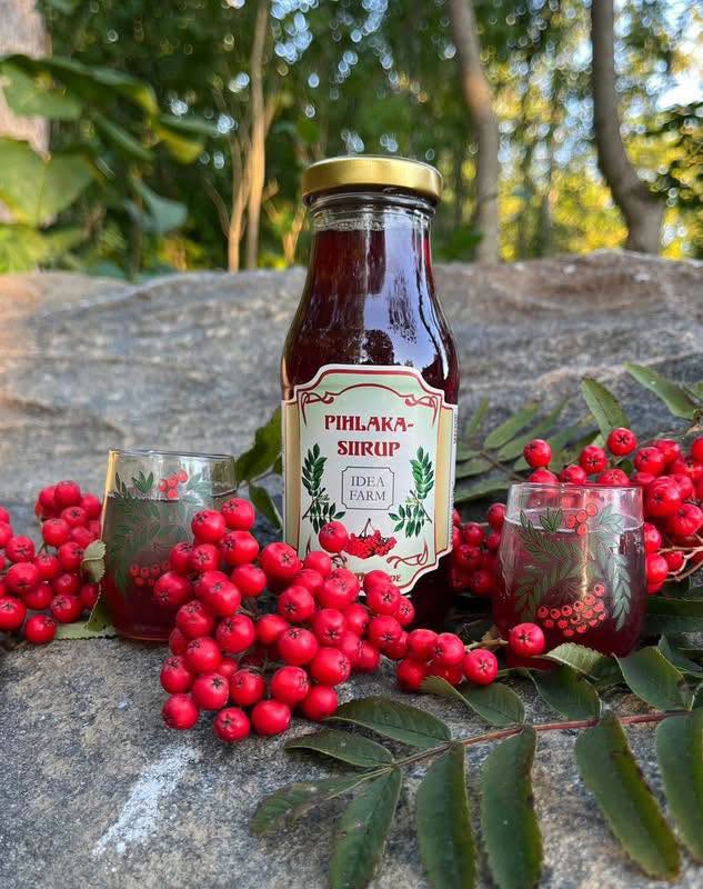 Pihlakasiirup 260ml - Pilt 2