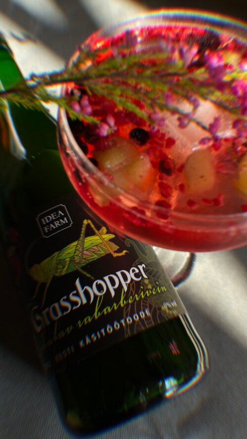 Grasshopper kuiv raberberivein vaarikaga 750ml 9%vol - Image 3