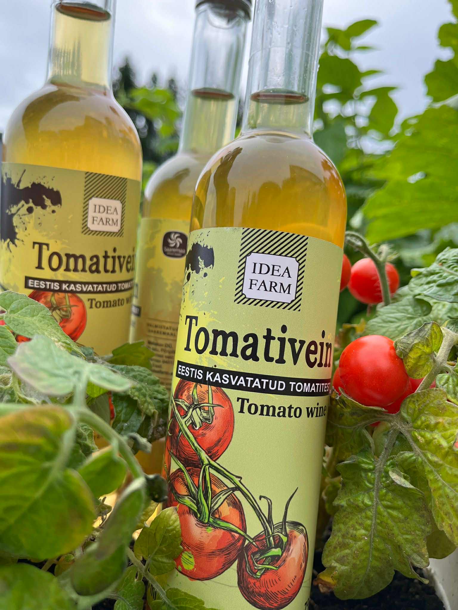 Tomativein 375ml - Image 2