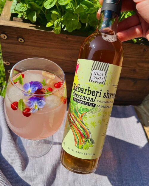 Rabarberi shrub -joogipõhi Saaremaisest rabarberist 500ml - Image 2