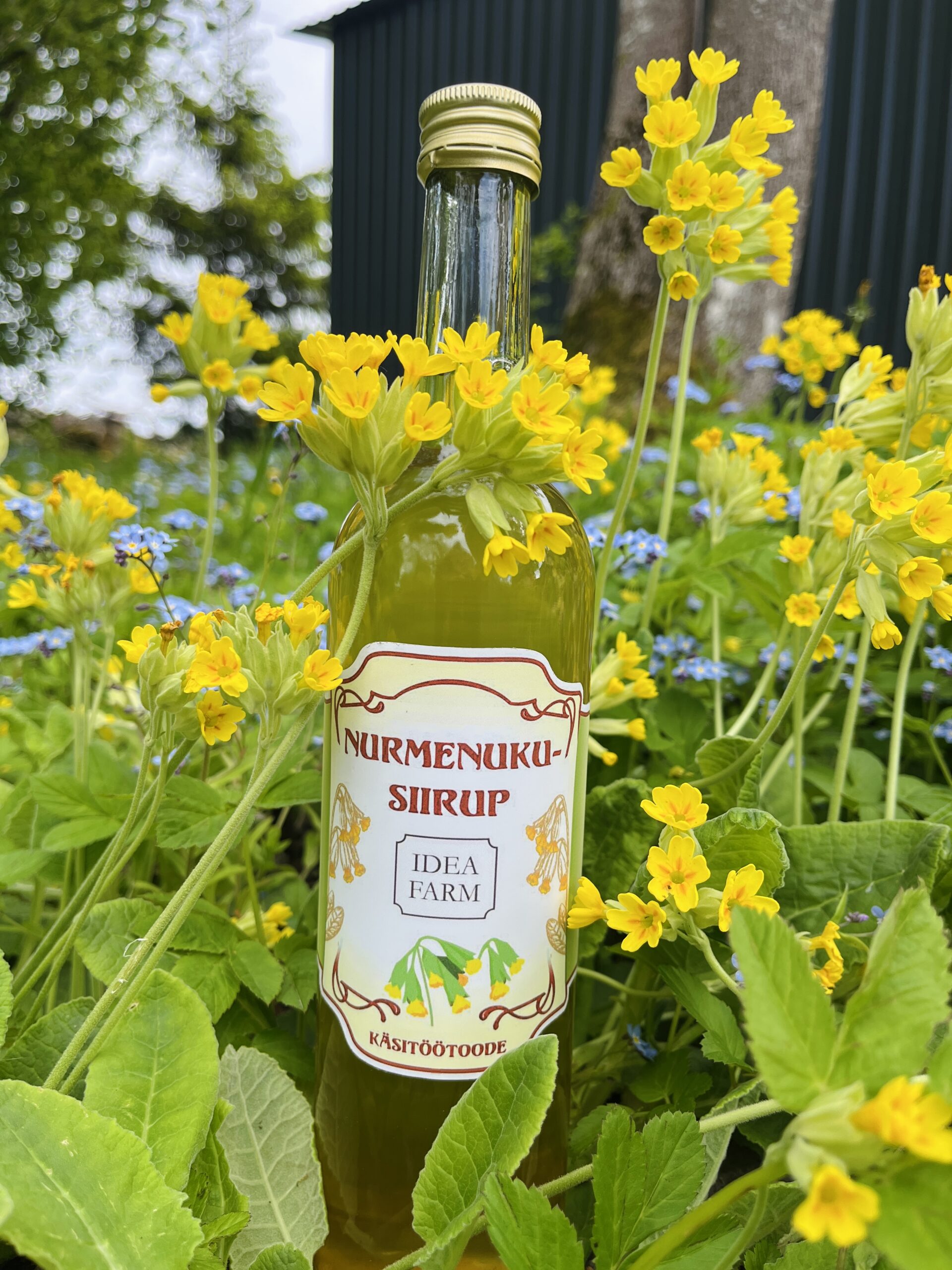 Nurmenukusiirup 500ml - Image 2